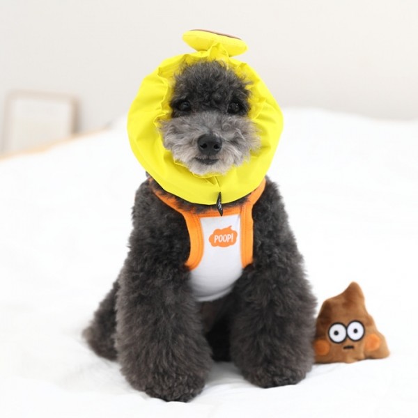 페오펫몰,[오드펫] 또또또 친구들 방수헤어밴드_따또