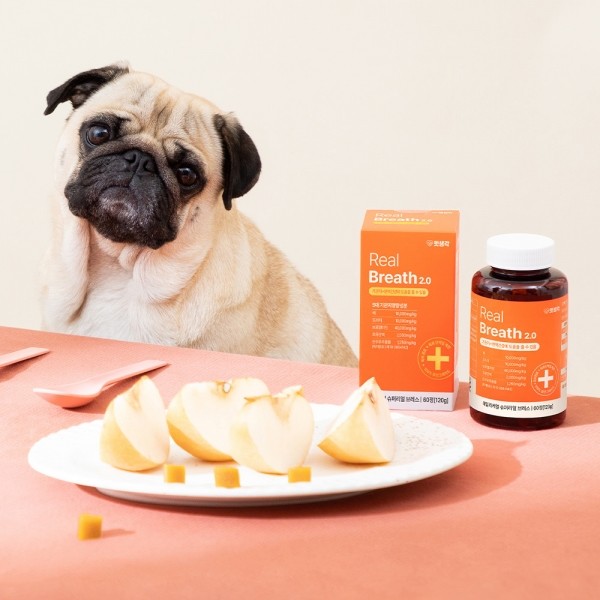 페오펫몰,펫생각 강아지 기관지 호흡기 면역력 기관지염 협착증 영양제 120g