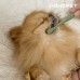 썸네일(스크롤)