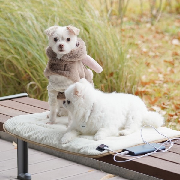 페오펫몰,로띠에 빵긋토퍼 강아지 고양이 그래핀 카본 온열매트 [최저가]