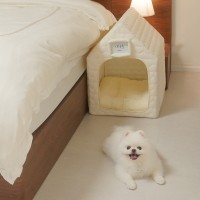 하븐 강아지집 하우스 고양이하우스 예쁜 숨숨집