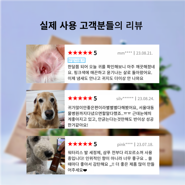 페오펫몰,리꼬르소 트룰리 이어클리너