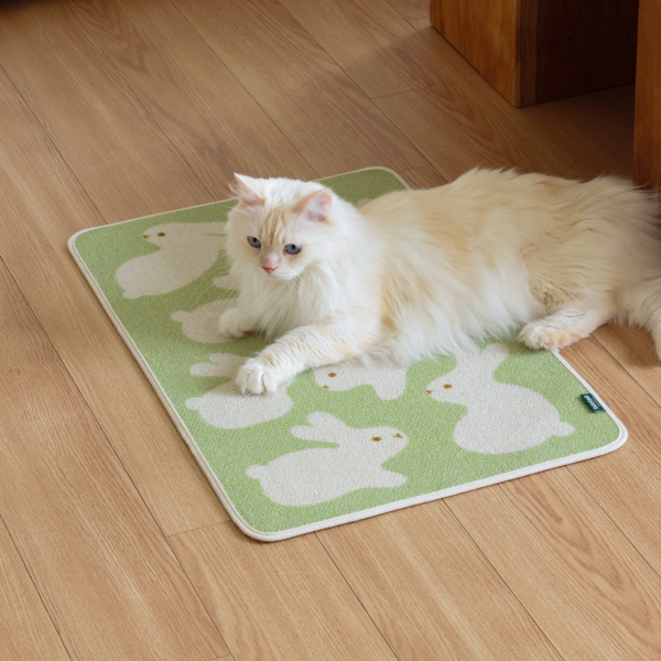 피도테일 아트 포스터 스크래쳐 매트 (토끼 친구들)