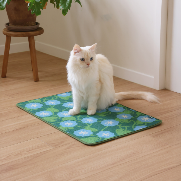 피도테일 아트 포스터 스크래쳐 매트 (파란 나팔꽃)