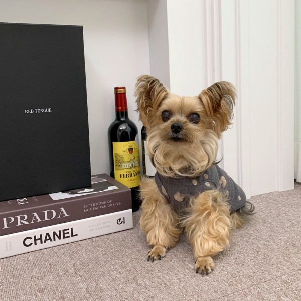 페오펫몰,디어아지 실내복 바니 토끼 민소매 티셔츠