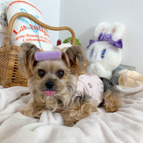 페오펫몰,디어아지 실내복 바니 토끼 민소매 티셔츠