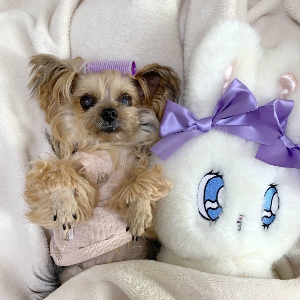 페오펫몰,디어아지 실내복 바니 토끼 민소매 티셔츠