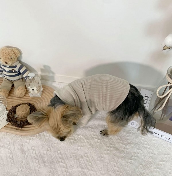 페오펫몰,디어아지 강아지 겨울 고급 목폴라 티셔츠