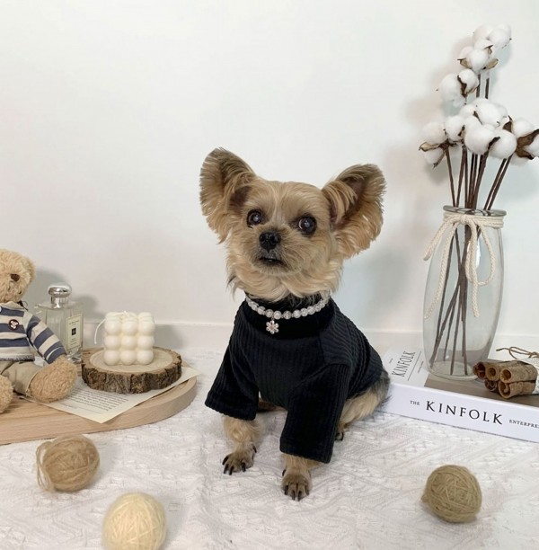 페오펫몰,디어아지 강아지 겨울 고급 목폴라 티셔츠