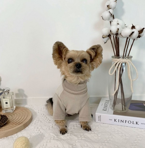 페오펫몰,디어아지 강아지 겨울 고급 목폴라 티셔츠