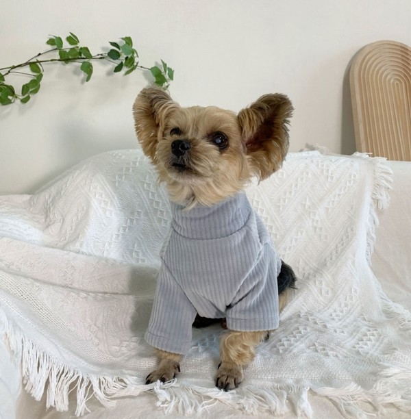 페오펫몰,디어아지 강아지 겨울 고급 목폴라 티셔츠