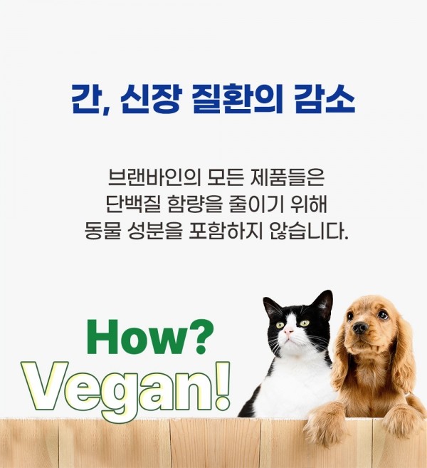 페오펫몰,브랜바인 미국 특허 간 기능 개선 영양제 100캡슐(최대 3개월분) 강아지 고양이 간영양제 밀크씨슬 실리빈
