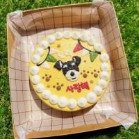 강아지케이크 _ 댕댕농부 강아지 수제 생일 케이크 맞춤 주문 제작