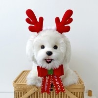 크리스마스 강아지 루돌프밴드+리본화환 세트