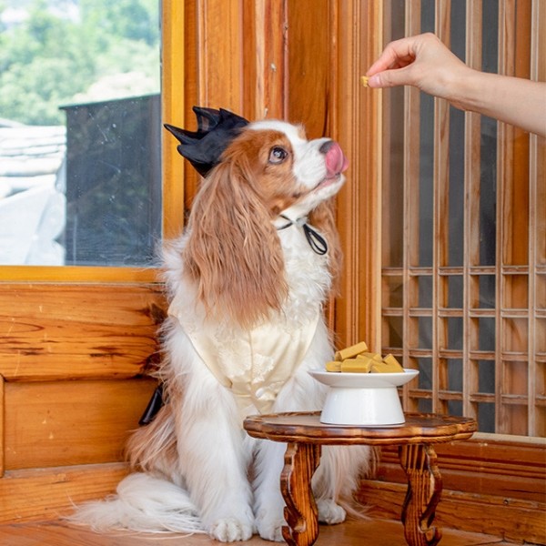 페오펫몰,리스펫랩 강아지 노령견 간식 견양갱 7g x 30p