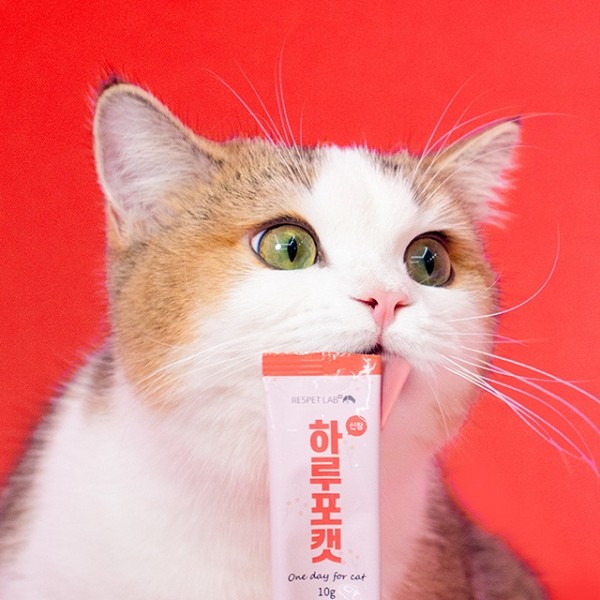 페오펫몰,리스펫랩 고양이 신장 영양제 하루포캣 유리너리 방광염 요로계 12개입