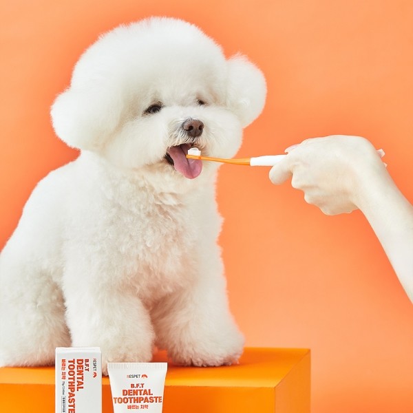 페오펫몰,리스펫랩 강아지 고양이 바르는 치약 70g