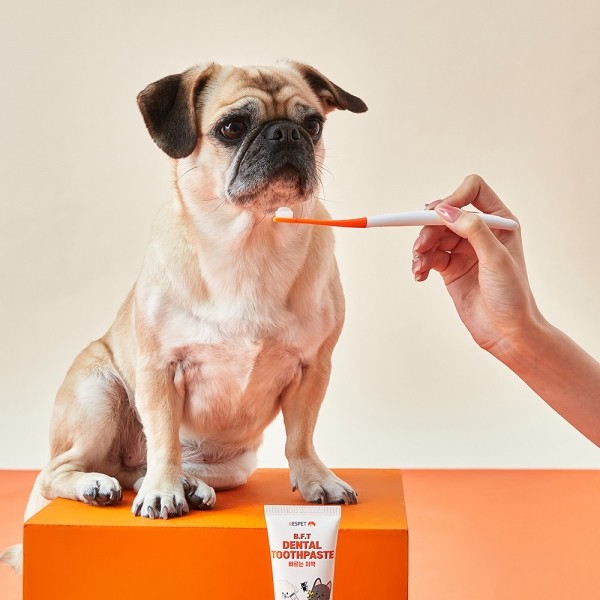 페오펫몰,리스펫랩 강아지 고양이 바르는 치약 70g