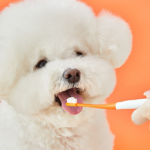 페오펫몰,리스펫랩 강아지 고양이 바르는 치약 70g