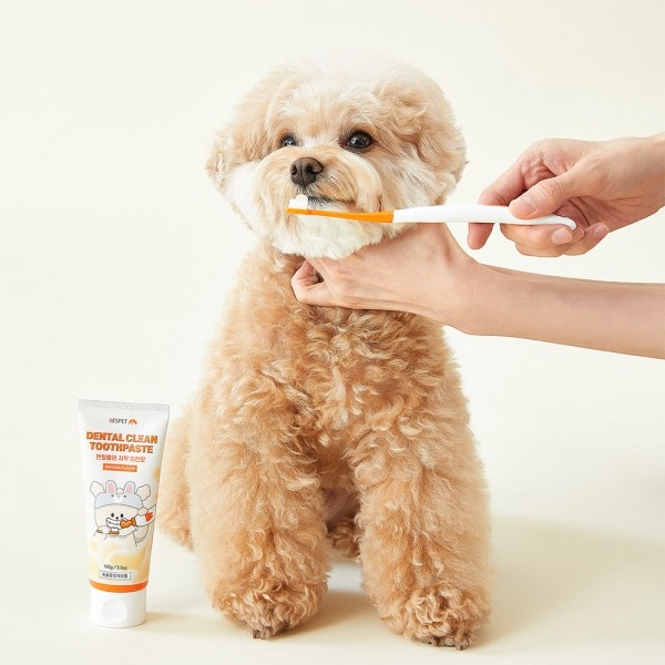 페오펫몰,리스펫랩 강아지 고양이 덴탈 클린 효소치약, 닭고기맛 100g