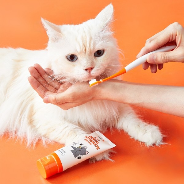 페오펫몰,리스펫랩 강아지 고양이 덴탈 클린 효소치약, 닭고기맛 100g