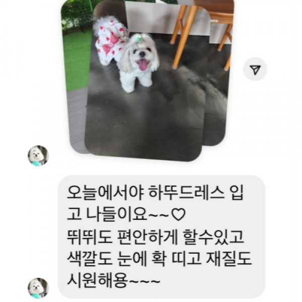 페오펫몰,[댕린이특가]플로피이얼스,레드하트 강아지드레스,강아지원피스
