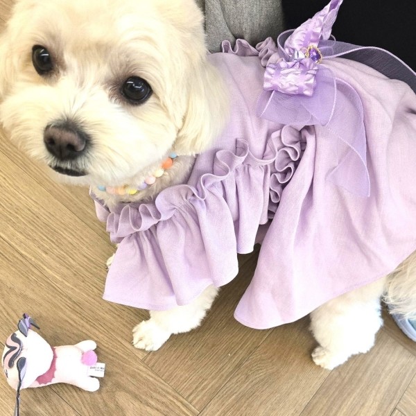 페오펫몰,[새해특가]플로피이얼스,텐셀린넨 라벤더 강아지드레스,생일파티드레스,헤어핀,스크런치