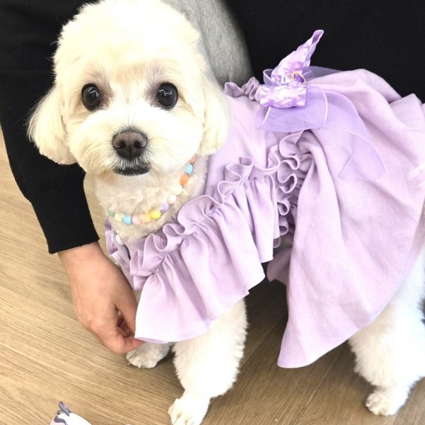 페오펫몰,[새해특가]플로피이얼스,텐셀린넨 라벤더 강아지드레스,생일파티드레스,헤어핀,스크런치