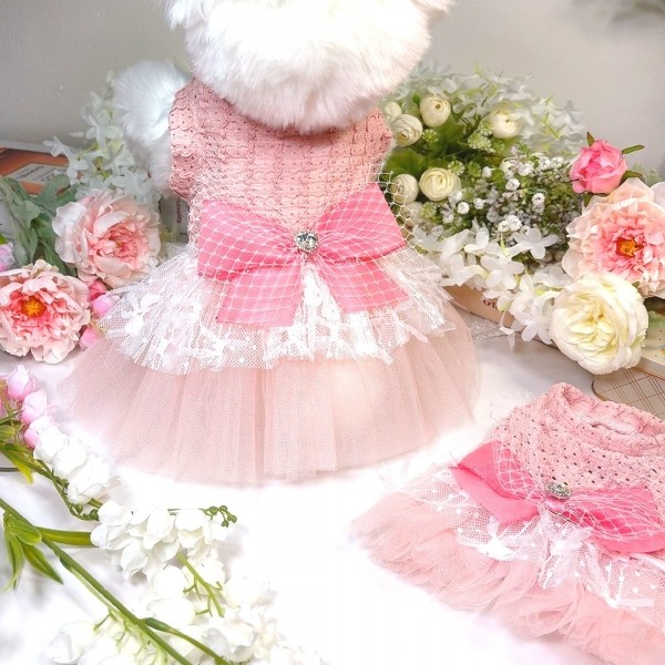 페오펫몰,[플로피이얼스][꽃길특가]살구리본 강아지드레스,강아지생일파티원피스