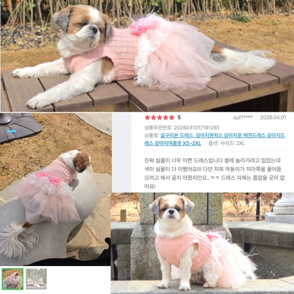 페오펫몰,[플로피이얼스][꽃길특가]살구리본 강아지드레스,강아지생일파티원피스