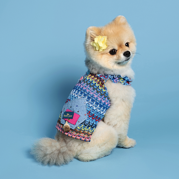 페오펫몰,Waikiki Blue T 와이키키 블루 티
