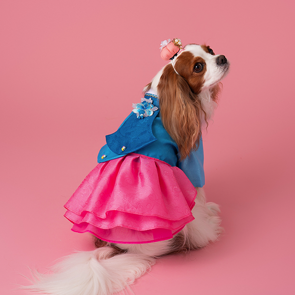 Hanbok No.3 Female Style (Dress)