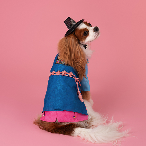 Hanbok No.3 Male Style