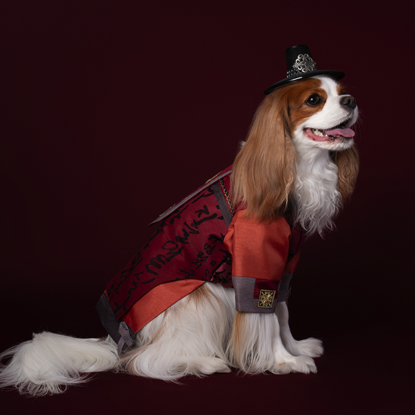 HanBok - Guardian (Brown/Navy)