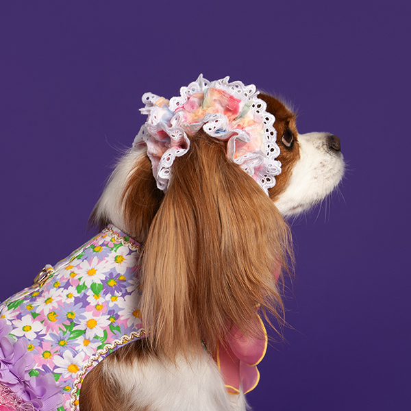페오펫몰,Flower Ear Chouchou 4종