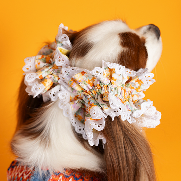 페오펫몰,Flower Ear Chouchou 4종