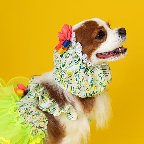 페오펫몰,Tropical Acc. Ear chouchou / Snood (Green/Pink)