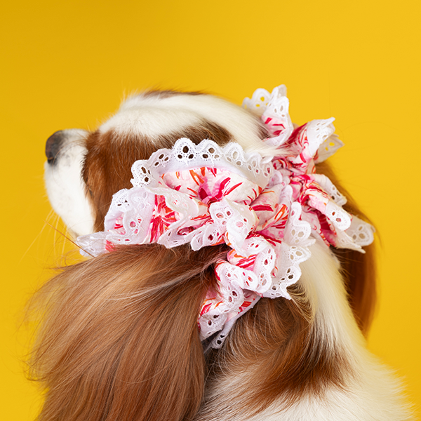 페오펫몰,Tropical Acc. Ear chouchou / Snood (Green/Pink)