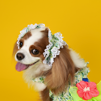 Tropical Acc. Ear chouchou / Snood (Green/Pink)
