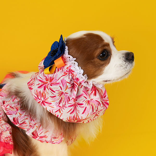 페오펫몰,Tropical Acc. Ear chouchou / Snood (Green/Pink)