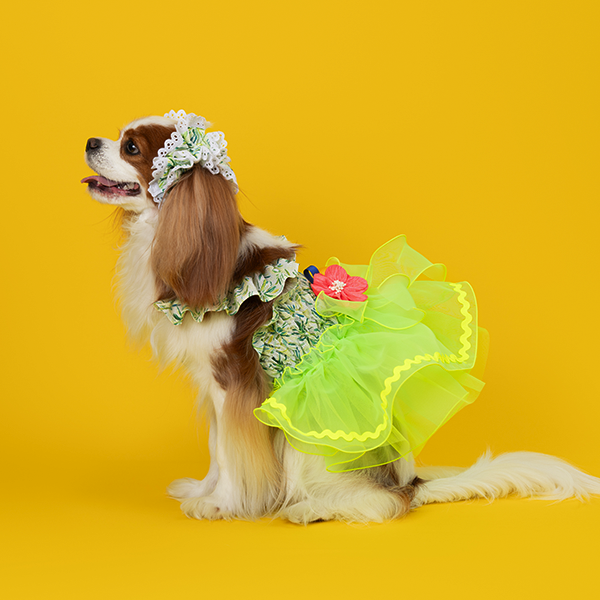 페오펫몰,Tropical Acc. Ear chouchou / Snood (Green/Pink)