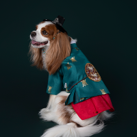 Hanbok No.4 Male Style