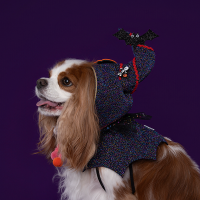 Halloween Hood - Purple