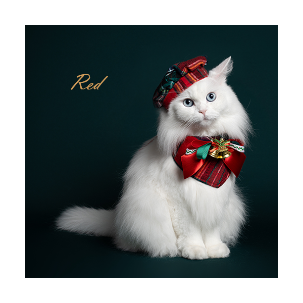 페오펫몰,X-mas Bandana & Beret  (크리스마스 반다나 & 베레모 2종)