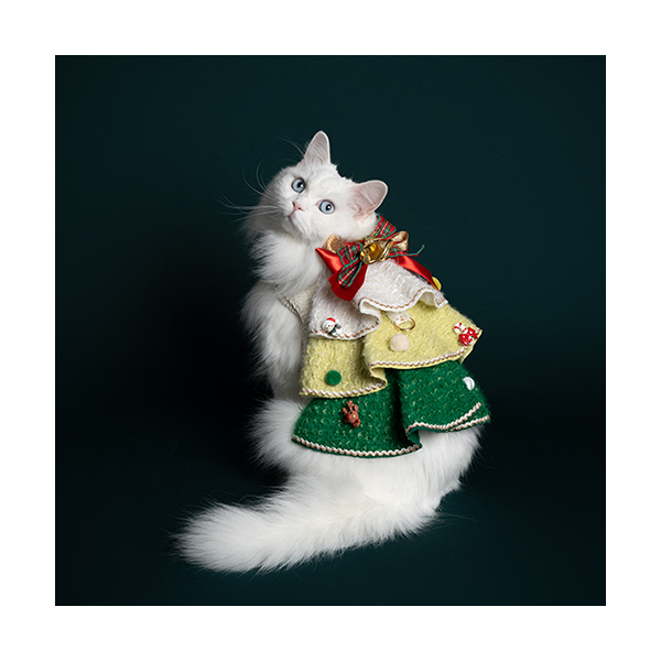 페오펫몰,New X-mas Tree Harness 크리스마스 트리하네스