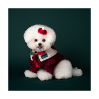 X-mas Cape White (크리스마스 케이프 화이트)