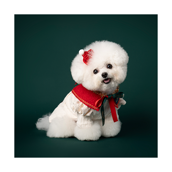 페오펫몰,X-mas Cape Red (크리스마스 케이프 레드)