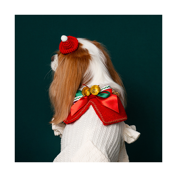 페오펫몰,X-mas Cape Red (크리스마스 케이프 레드)