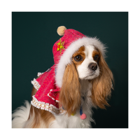 Hooded Cloak Pink (후드망토 핑크)