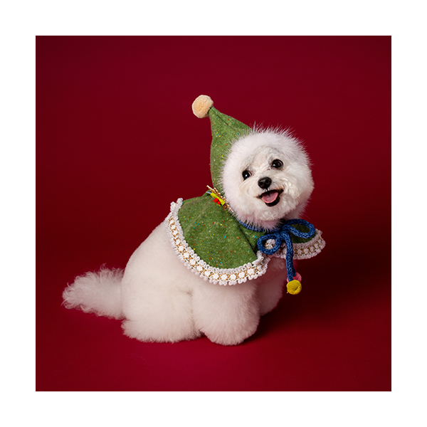 페오펫몰,Hooded Cloak Green (후드망토 그린)